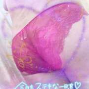 ヒメ日記 2025/01/21 09:49 投稿 さおり 愛媛松山ちゃんこ