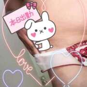 ヒメ日記 2025/03/08 10:09 投稿 さおり 愛媛松山ちゃんこ