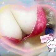 ヒメ日記 2025/03/18 11:29 投稿 さおり 愛媛松山ちゃんこ