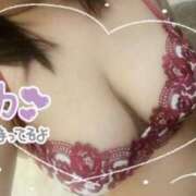 ヒメ日記 2025/03/31 21:13 投稿 さおり 愛媛松山ちゃんこ