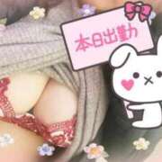 ヒメ日記 2025/04/05 07:19 投稿 さおり 愛媛松山ちゃんこ