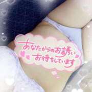 ヒメ日記 2025/04/15 21:29 投稿 さおり 愛媛松山ちゃんこ