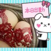 ヒメ日記 2025/05/20 09:09 投稿 さおり 愛媛松山ちゃんこ