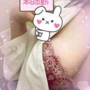 ヒメ日記 2025/05/27 10:29 投稿 さおり 愛媛松山ちゃんこ