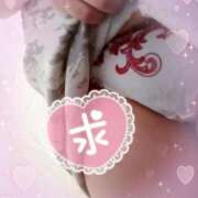 ヒメ日記 2025/07/21 14:29 投稿 さおり 愛媛松山ちゃんこ