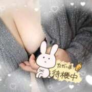 ヒメ日記 2025/11/06 21:09 投稿 さおり 愛媛松山ちゃんこ