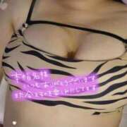 ヒメ日記 2025/11/09 09:29 投稿 さおり 愛媛松山ちゃんこ