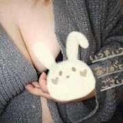 ヒメ日記 2025/11/19 16:02 投稿 さおり 愛媛松山ちゃんこ