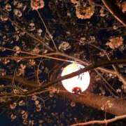 ヒメ日記 2026/04/02 11:00 投稿 かれん 至福の密着エステ&禁断のM性感 Luxeaz