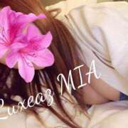 ヒメ日記 2025/06/29 17:49 投稿 みあ 至福の密着エステ&禁断のM性感 Luxeaz