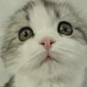 ヒメ日記 2024/12/13 21:57 投稿 平野ちえ 禁断のメンズエステR-18堺・南大阪店