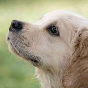 ヒメ日記 2024/12/29 20:51 投稿 平野ちえ 禁断のメンズエステR-18堺・南大阪店