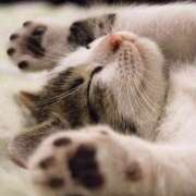 ヒメ日記 2025/01/09 22:33 投稿 平野ちえ 禁断のメンズエステR-18堺・南大阪店