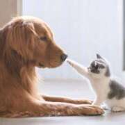 ヒメ日記 2025/01/10 23:33 投稿 平野ちえ 禁断のメンズエステR-18堺・南大阪店