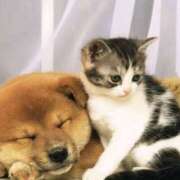 ヒメ日記 2025/01/13 21:33 投稿 平野ちえ 禁断のメンズエステR-18堺・南大阪店