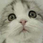 ヒメ日記 2025/01/24 14:33 投稿 平野ちえ 禁断のメンズエステR-18堺・南大阪店