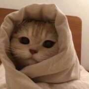 ヒメ日記 2025/01/29 01:42 投稿 平野ちえ 禁断のメンズエステR-18堺・南大阪店