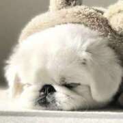 ヒメ日記 2025/02/02 18:18 投稿 平野ちえ 禁断のメンズエステR-18堺・南大阪店