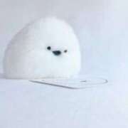 ヒメ日記 2025/02/11 01:42 投稿 平野ちえ 禁断のメンズエステR-18堺・南大阪店