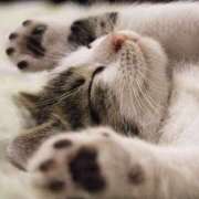 ヒメ日記 2025/02/16 00:33 投稿 平野ちえ 禁断のメンズエステR-18堺・南大阪店