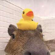 ヒメ日記 2025/02/27 18:22 投稿 平野ちえ 禁断のメンズエステR-18堺・南大阪店