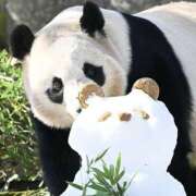 ヒメ日記 2025/02/28 00:42 投稿 平野ちえ 禁断のメンズエステR-18堺・南大阪店