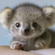 ヒメ日記 2025/03/06 13:48 投稿 平野ちえ 禁断のメンズエステR-18堺・南大阪店