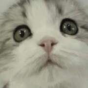 ヒメ日記 2025/03/06 16:51 投稿 平野ちえ 禁断のメンズエステR-18堺・南大阪店