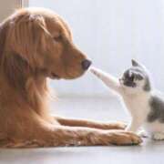 ヒメ日記 2025/03/11 22:33 投稿 平野ちえ 禁断のメンズエステR-18堺・南大阪店