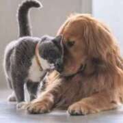 ヒメ日記 2025/03/12 01:51 投稿 平野ちえ 禁断のメンズエステR-18堺・南大阪店