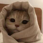 ヒメ日記 2025/03/19 14:21 投稿 平野ちえ 禁断のメンズエステR-18堺・南大阪店