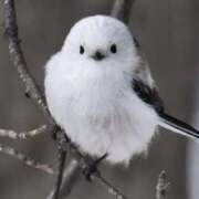 ヒメ日記 2025/03/19 19:42 投稿 平野ちえ 禁断のメンズエステR-18堺・南大阪店