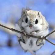 ヒメ日記 2025/03/21 20:36 投稿 平野ちえ 禁断のメンズエステR-18堺・南大阪店