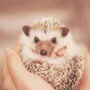 ヒメ日記 2025/03/24 16:42 投稿 平野ちえ 禁断のメンズエステR-18堺・南大阪店