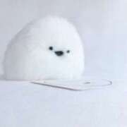 ヒメ日記 2025/03/25 19:27 投稿 平野ちえ 禁断のメンズエステR-18堺・南大阪店