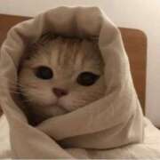 ヒメ日記 2025/03/26 14:36 投稿 平野ちえ 禁断のメンズエステR-18堺・南大阪店