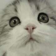 ヒメ日記 2025/03/31 21:51 投稿 平野ちえ 禁断のメンズエステR-18堺・南大阪店