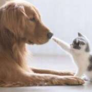 ヒメ日記 2025/04/03 00:51 投稿 平野ちえ 禁断のメンズエステR-18堺・南大阪店