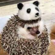 ヒメ日記 2025/04/04 18:36 投稿 平野ちえ 禁断のメンズエステR-18堺・南大阪店