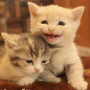 ヒメ日記 2025/04/25 22:33 投稿 平野ちえ 禁断のメンズエステR-18堺・南大阪店