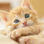 ヒメ日記 2025/05/02 22:54 投稿 平野ちえ 禁断のメンズエステR-18堺・南大阪店