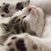 ヒメ日記 2025/05/04 16:14 投稿 平野ちえ 禁断のメンズエステR-18堺・南大阪店