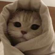 ヒメ日記 2025/05/11 23:54 投稿 平野ちえ 禁断のメンズエステR-18堺・南大阪店