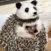 ヒメ日記 2025/05/24 22:54 投稿 平野ちえ 禁断のメンズエステR-18堺・南大阪店