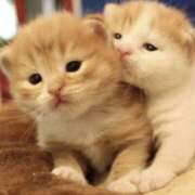 ヒメ日記 2025/05/27 21:24 投稿 平野ちえ 禁断のメンズエステR-18堺・南大阪店