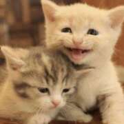 ヒメ日記 2025/05/28 00:54 投稿 平野ちえ 禁断のメンズエステR-18堺・南大阪店