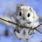 ヒメ日記 2025/05/29 20:34 投稿 平野ちえ 禁断のメンズエステR-18堺・南大阪店