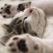 ヒメ日記 2025/05/30 00:54 投稿 平野ちえ 禁断のメンズエステR-18堺・南大阪店