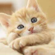 ヒメ日記 2025/06/02 15:04 投稿 平野ちえ 禁断のメンズエステR-18堺・南大阪店