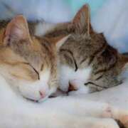 ヒメ日記 2025/06/02 19:54 投稿 平野ちえ 禁断のメンズエステR-18堺・南大阪店